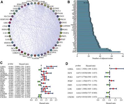 Identification of Clinical and Tumor Microenvironment Characteristics of Hypoxia-Related Risk Signature in Lung Adenocarcinoma